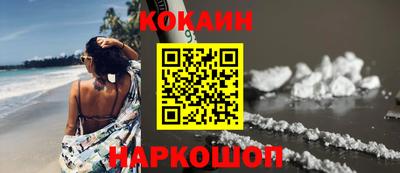 шишки Новодвинск