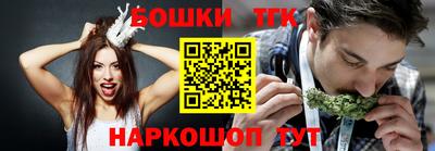 шишки Новодвинск