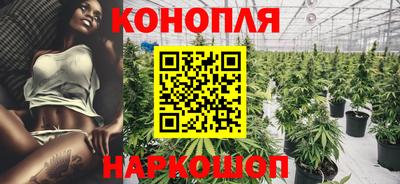 шишки Новодвинск