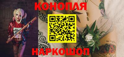 шишки Новодвинск