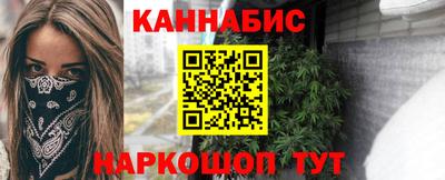шишки Новодвинск