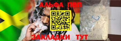 шишки Новодвинск
