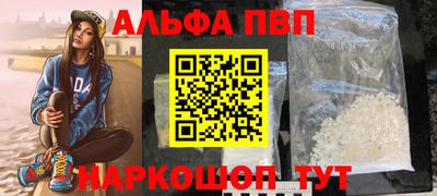 шишки Новодвинск