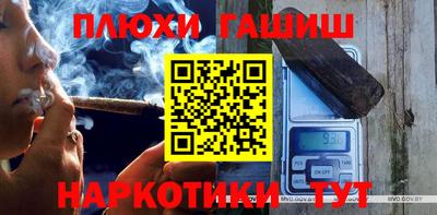 шишки Новодвинск