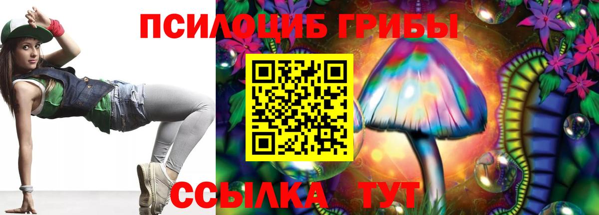 Галлюциногенные грибы прущие грибы Сокол